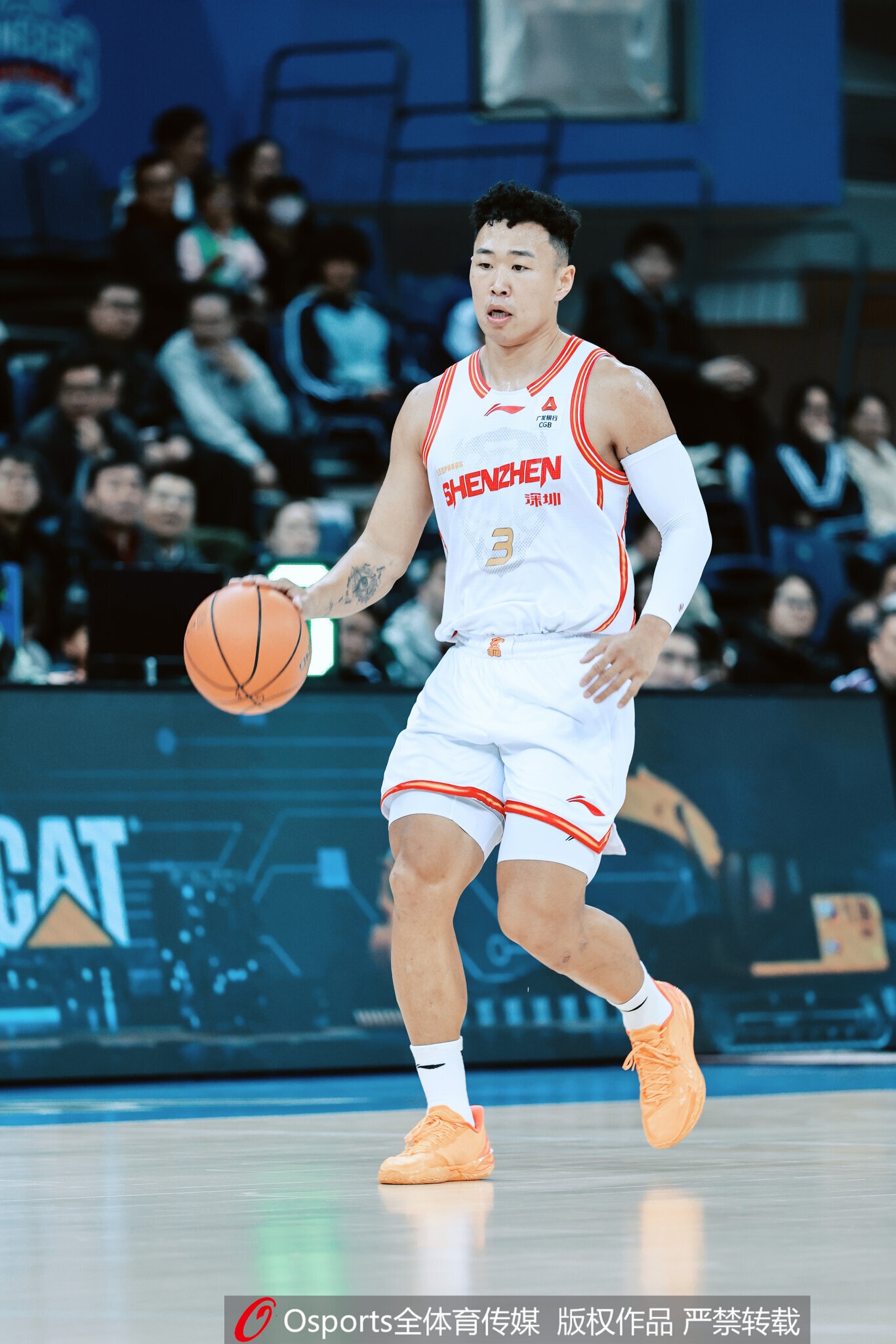 开云APP-近10季CBA本土MVP：丁彦雨航连庄 胡金秋王哲林均2次 易建联在列